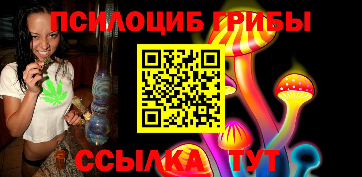 Александров  как найти закладки  Вход с VPN  Галлюциногенные грибы Cubensis  Галлюциногенные грибы ЛСД 